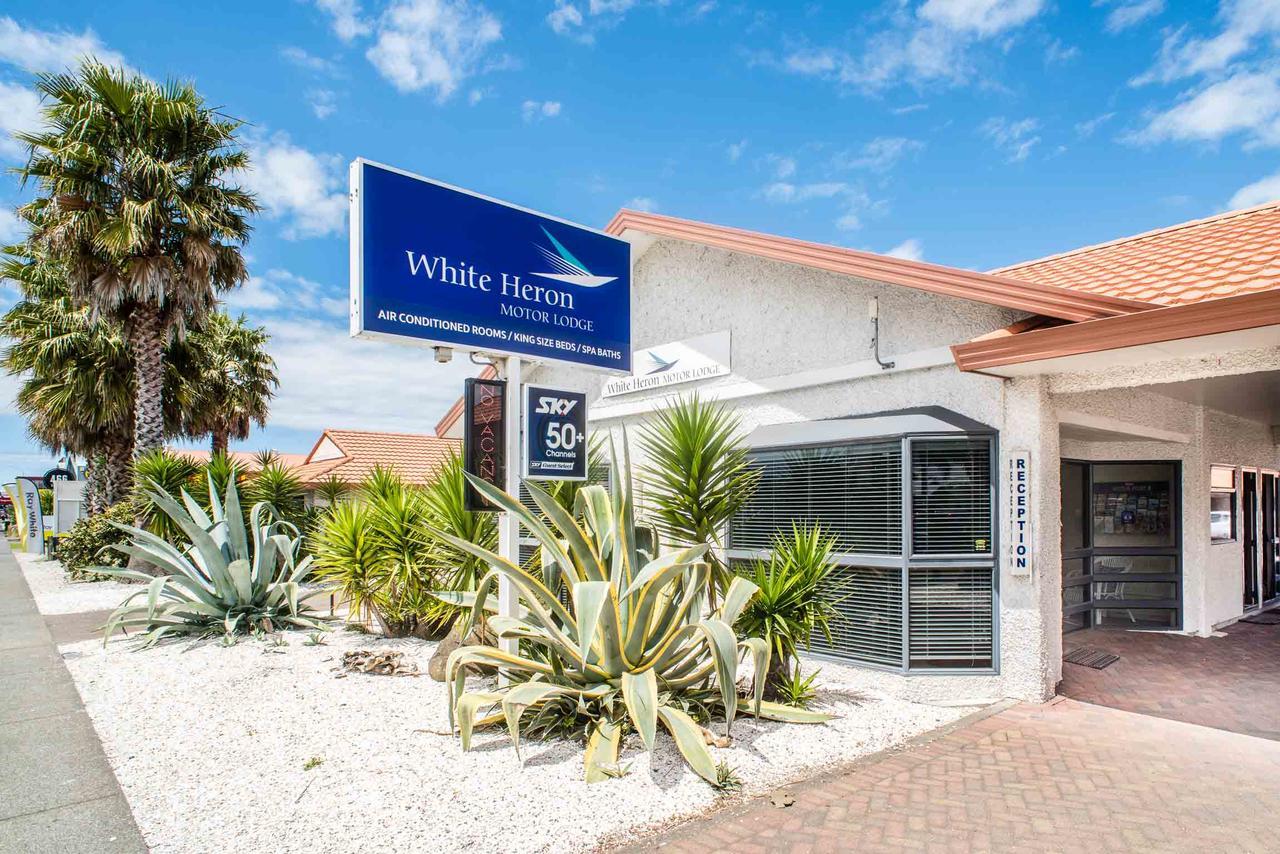 White Heron Motor Lodge Gisborne Luaran gambar